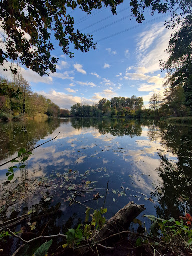 Kleiner Weiher Riedstadt Gallery - Germany
