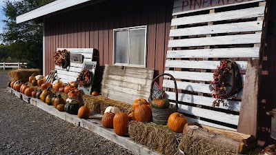 Pinecrest Tree Farm