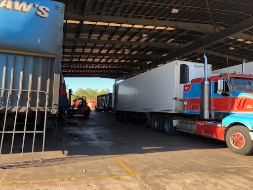 Shaw's Darwin Transport - Thumbnail