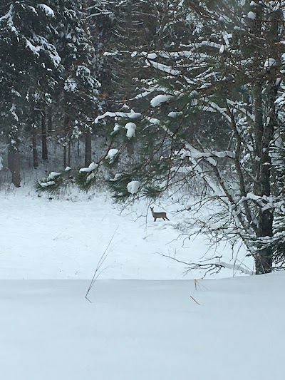 Photos of K&auml;bi Puhkemaja