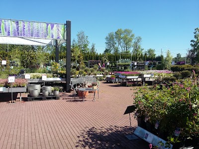 Photos of Hansaplant Ltd.