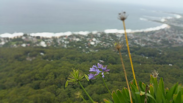 Sublime Point Lookout