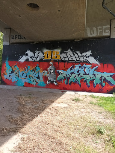 Ivendorf Legal Graffiti Wall