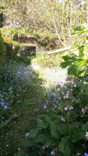 Kingsbridge Community Garden - Thumbnail