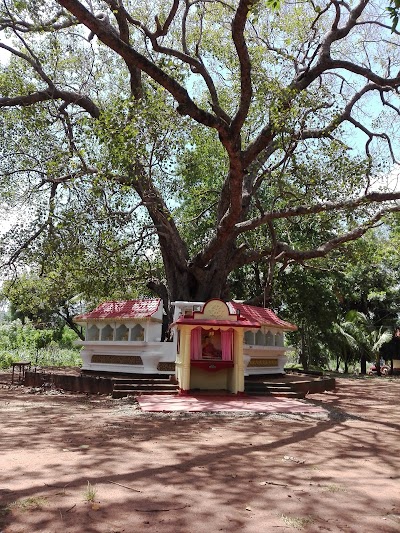 Photos of Nathissa Raja Maha Viharaya