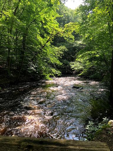 Cooper Mill County Park Logo