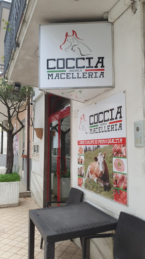Coccia - Visual