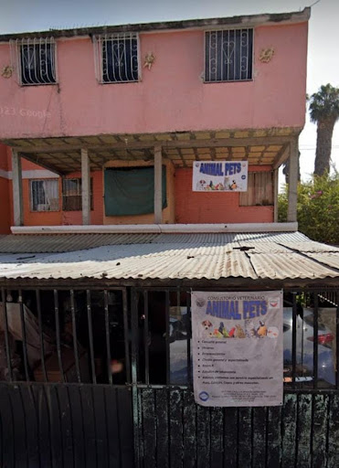 Consultorio Veterinario -Animal Pets