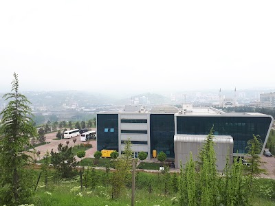 Karabük University Institute for Demir Çelik