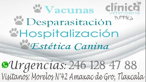 Clínica Veterinaria Puppies