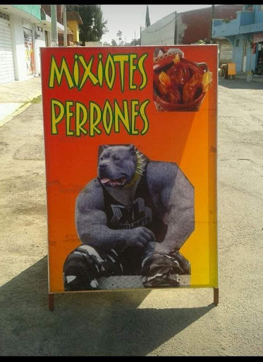 PUBLYCEO.COM MIXIOTEZ PERRONES DE PUEBLA LOS MEJORES - Thumbnail