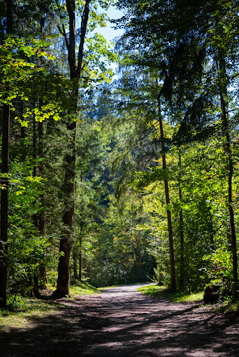 Parkplatz Engedey - Thumbnail
