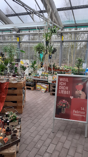 BHG Handelszentren - Baumarkt und Gartencenter - Thumbnail