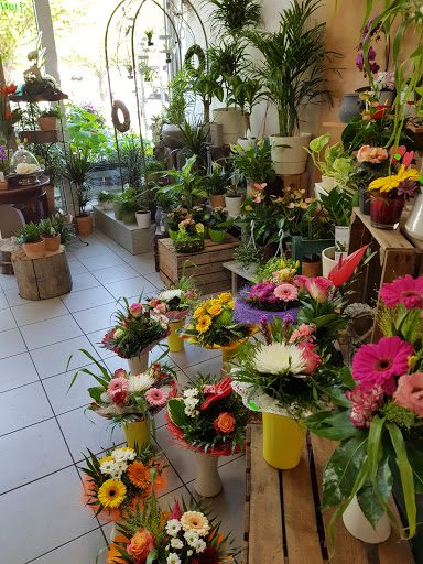 Die Blumenstube Inh. Kathrin Lüdecke