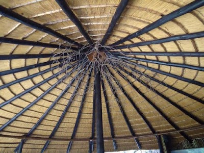 Photos of Phokoje Bush Lodge