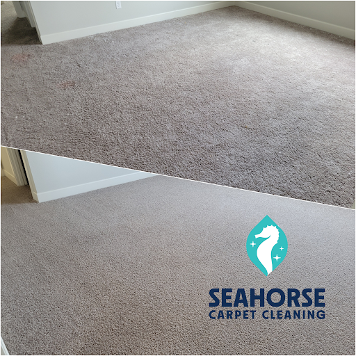 Seahorse Carpet Cleaning - Thumbnail