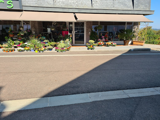 Fleurs en Morvan