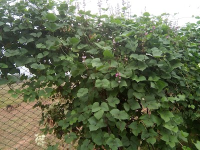 Photos of Anondo Police Housing