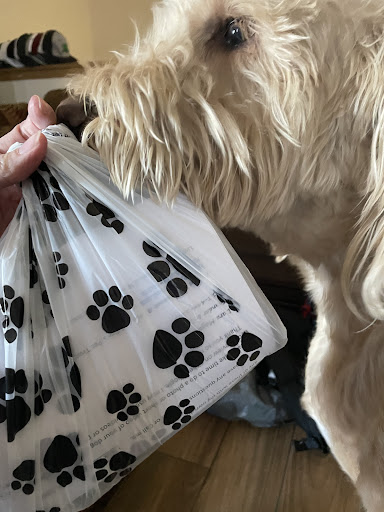 Ma & Paw's Pet Treats - Thumbnail