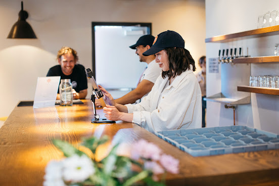 Benny Boy Brewing by null