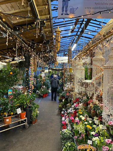 Vertige Gallery - France