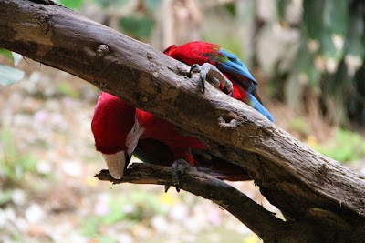 Izmir Wildlife Park