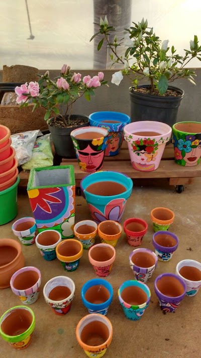 Photos of Vivero Miguel