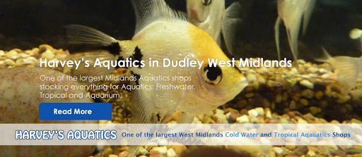 Harveys Aquatics