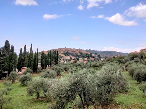 LE VIGNETTE Az. Agr. di Previtali Giuditta - Thumbnail