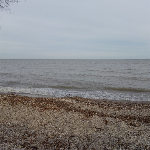 Miller Ferry Parking Lot 5 - Thumbnail