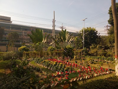 hospital
