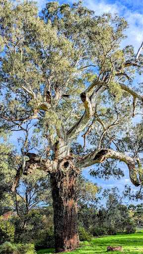Kenton Avenue Reserve - Thumbnail