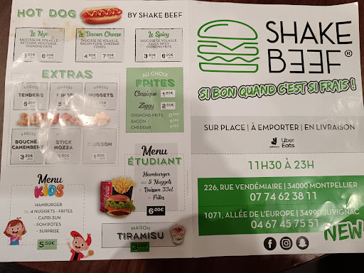 Photo 2 - SHAKE BEEF JUVIGNAC