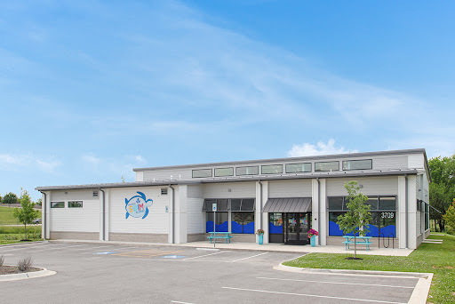 Arkansas Swim Academy - Thumbnail