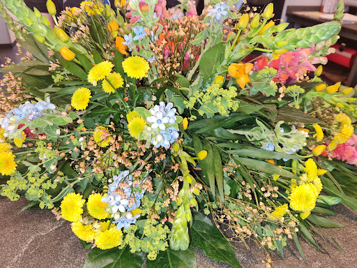Dosch Blumen - Visual