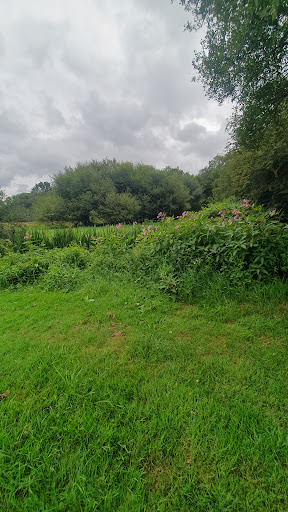 St Leonards Farm Caravan & Camping Park - Thumbnail