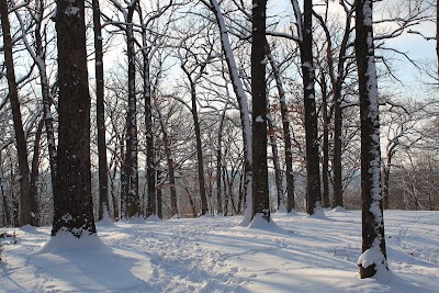 Shaver Park