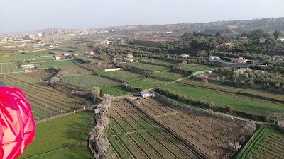 Photos of Casa del Infanzon