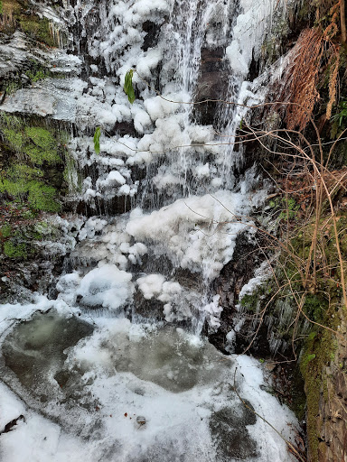 Comune di Tronzano Lago Maggiore
