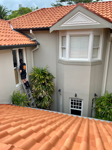 LION WINDOW CLEANING - Thumbnail