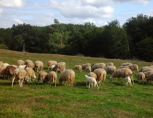 Photo n°3 de La ferme de Rudé à Parleboscq (Ferme bio)