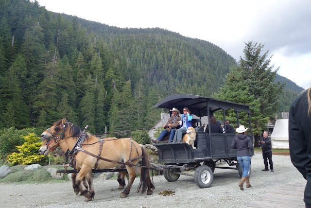 Clayoquot Wilderness Resort