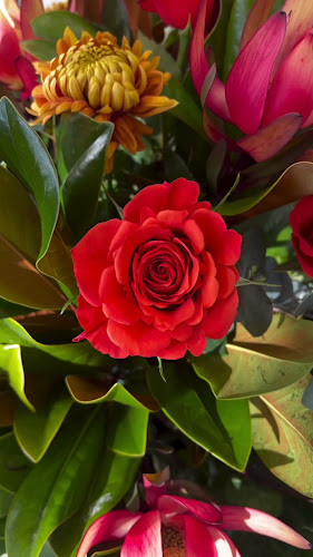 Court Florist - Christchurch