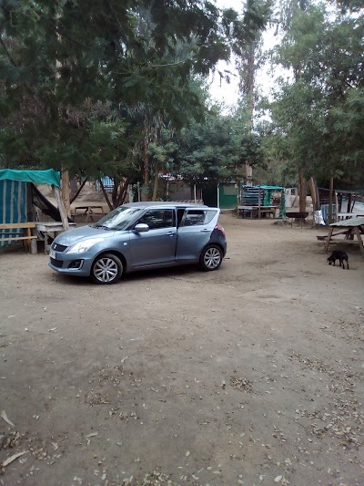 Photos of Camping Las Brisas