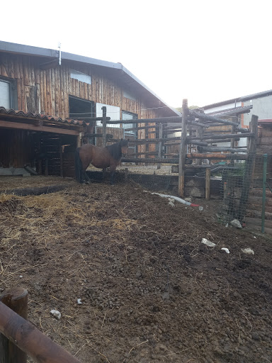 VARZI Casa Boriani - SP186 - Thumbnail