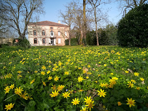 Photo n°2 de La demeure de labastide à Labastide-du-Temple (Chambre d'hôtes)