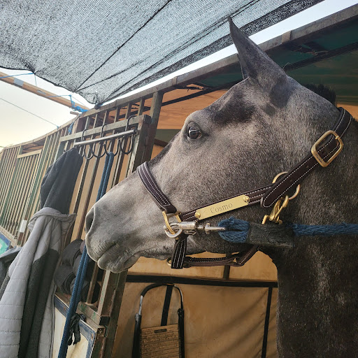 Brookside Equestrian Park - Thumbnail