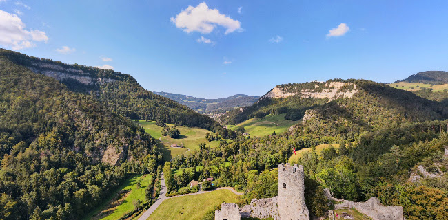 Ruine Schloss Neu-Falkenstein Telefonnummer