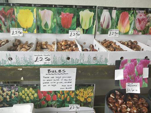 J Beveridge the Nurseries - Thumbnail
