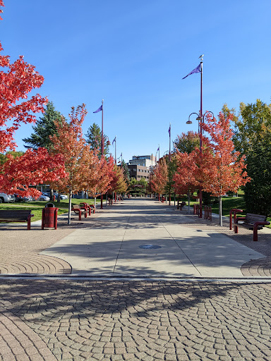 Central Promenade - Thumbnail